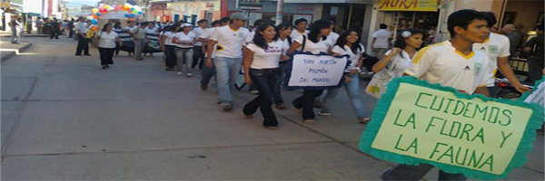 Participación Activa